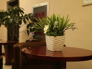 Servicios del alojamiento