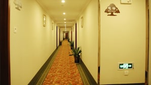 A hotel hallway with a carpeted floor, potted plants, and an elevator sign. - GreenTree Inn Shanghai Pudong Airport Heqing Huanqing Middle Road Express Hotel (Shanghai)