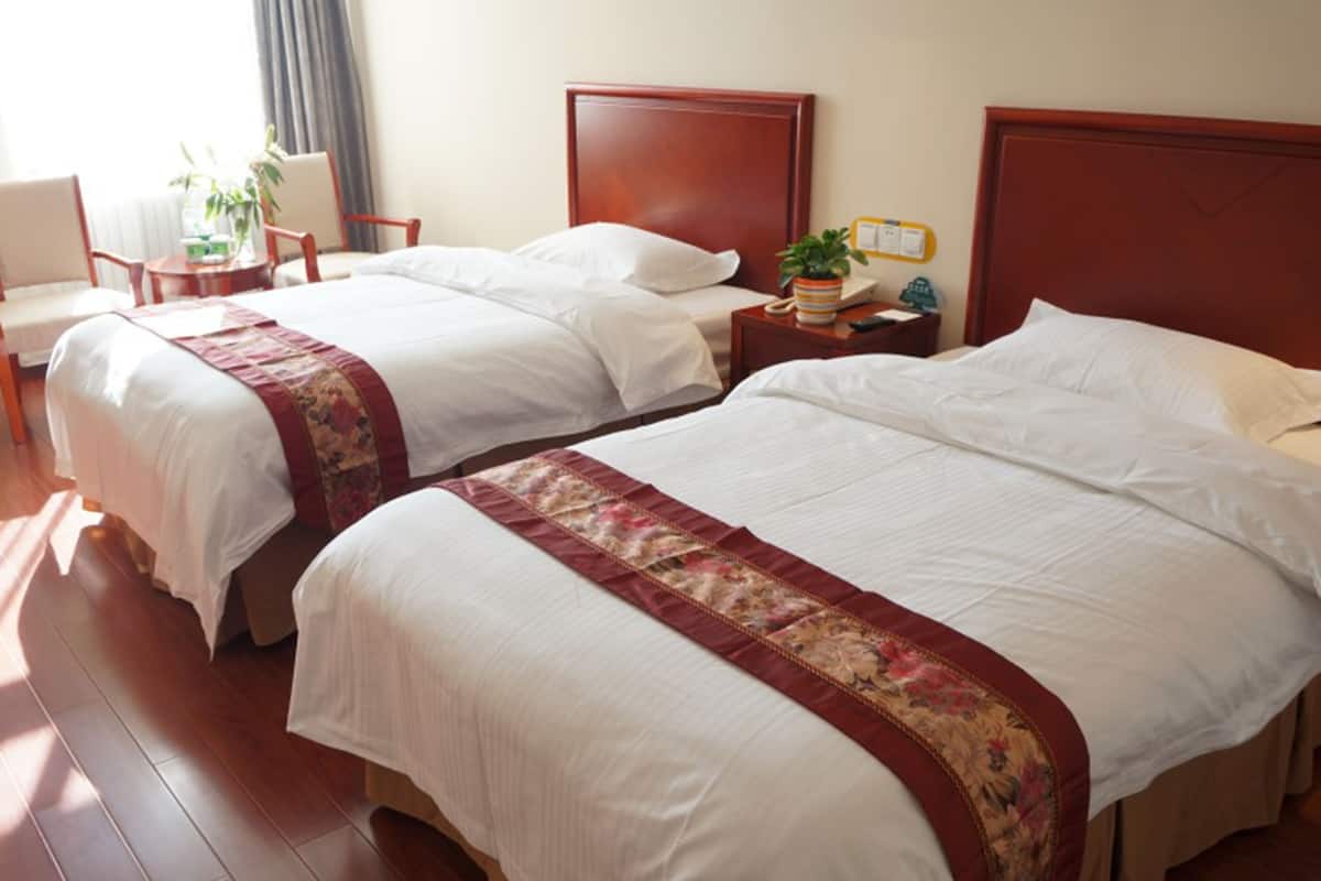 A hotel room with two beds, wooden headboards, a small bedside table with a plant, a chair, and a desk.