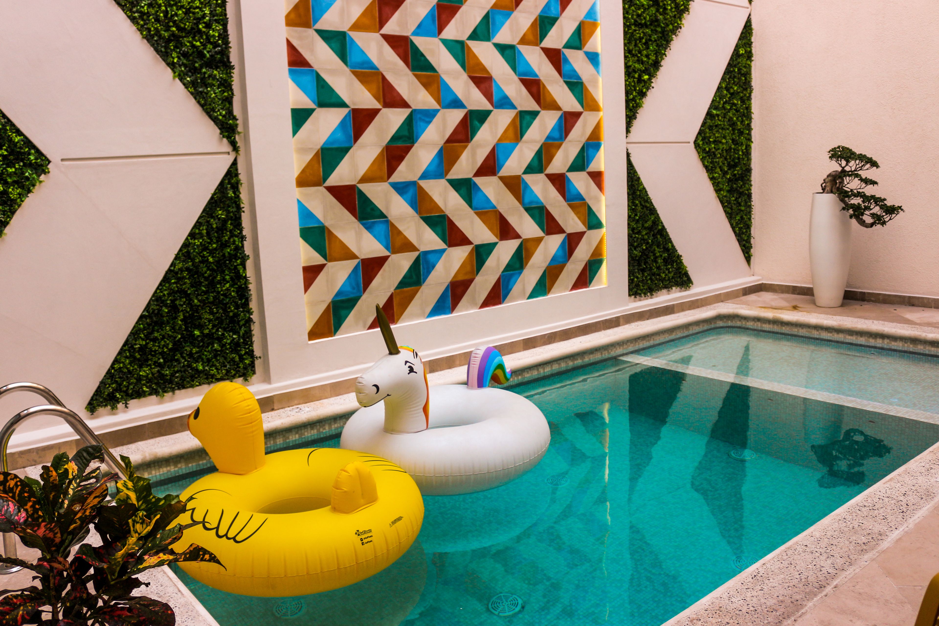 Foto - FCH Hotel Providencia Adults only