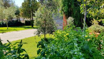 Giardino