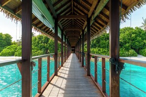 5 間餐廳;供應早餐、午餐、晚餐;印度菜