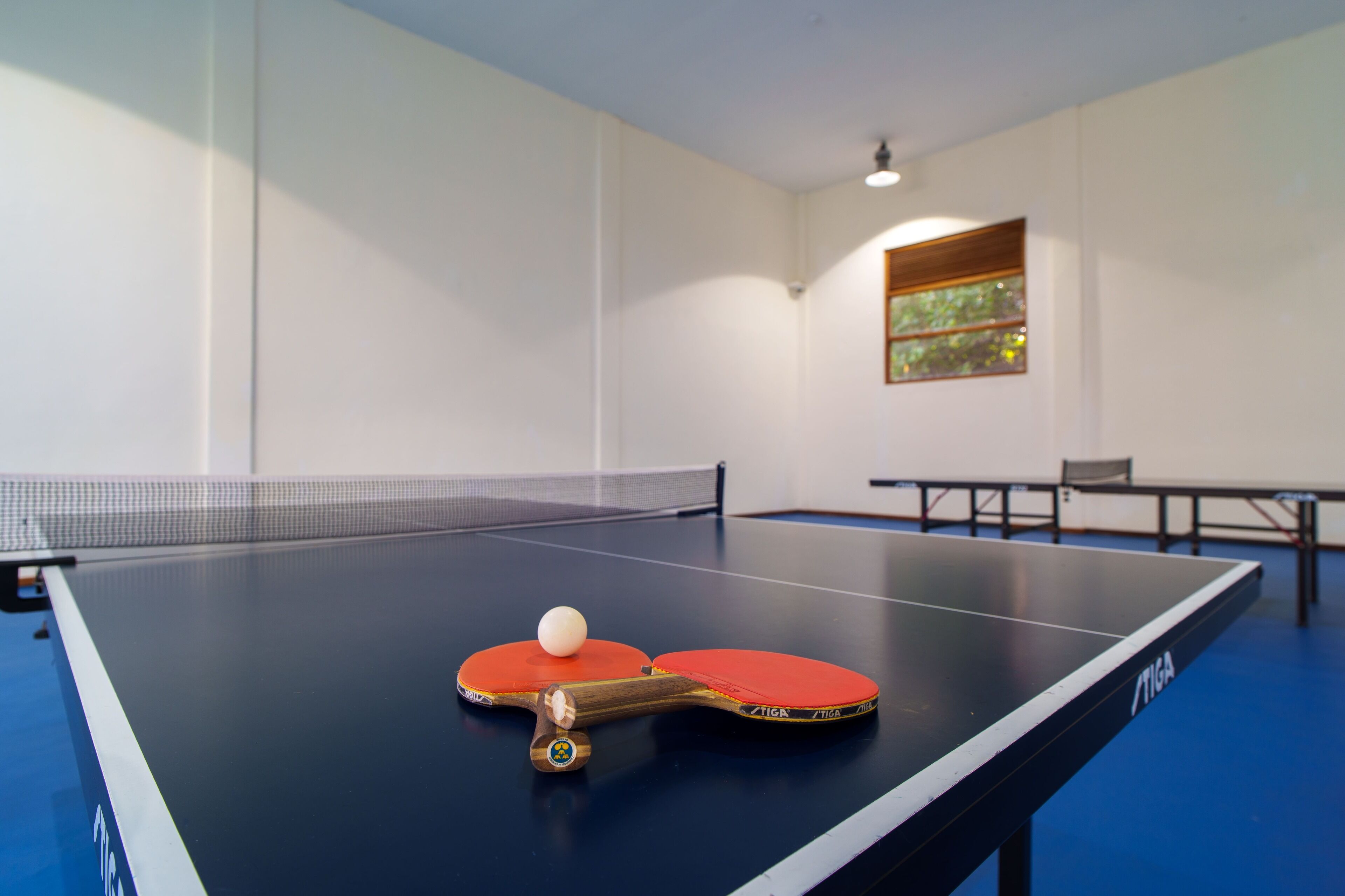 A ping pong table with two red paddles and a ball in a room with white walls and a window.