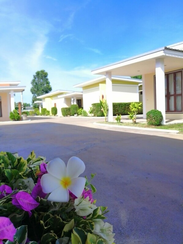 Una hilera de casas modernas de una sola planta, con cochera cubierta y jardines bien cuidados.