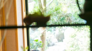 A person sitting by a window with a view of greenery outside. - Ureshino Motoyu (Ureshino)