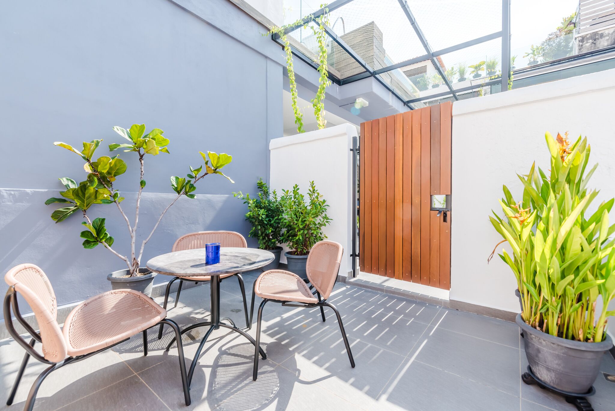 An outdoor patio with a round table and two wicker chairs, surrounded by potted plants and a wooden door.