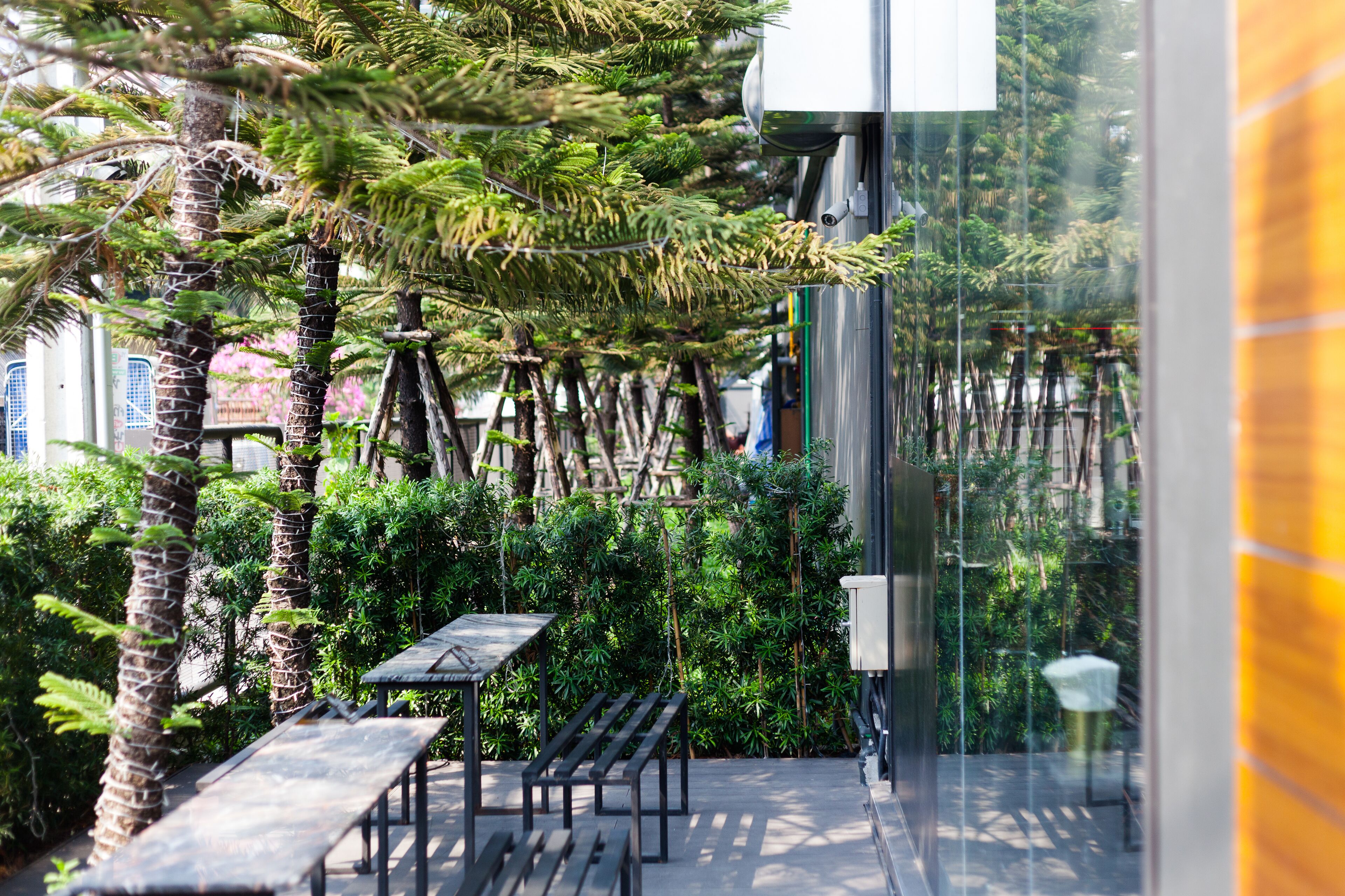 Outdoor banquet area