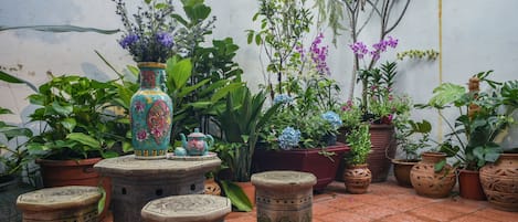 Garden view