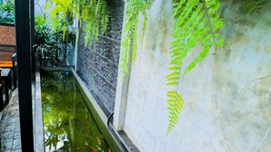 A narrow indoor water feature with a brick wall and hanging ferns. - Paradiso Boutique Resort (Trat)