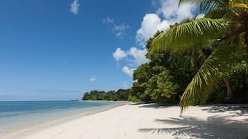 Gần bãi biển, cát trắng