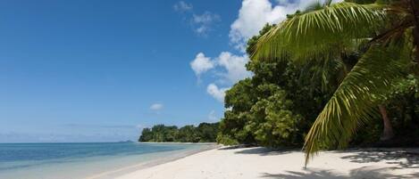 In Strandnähe, weißer Sandstrand
