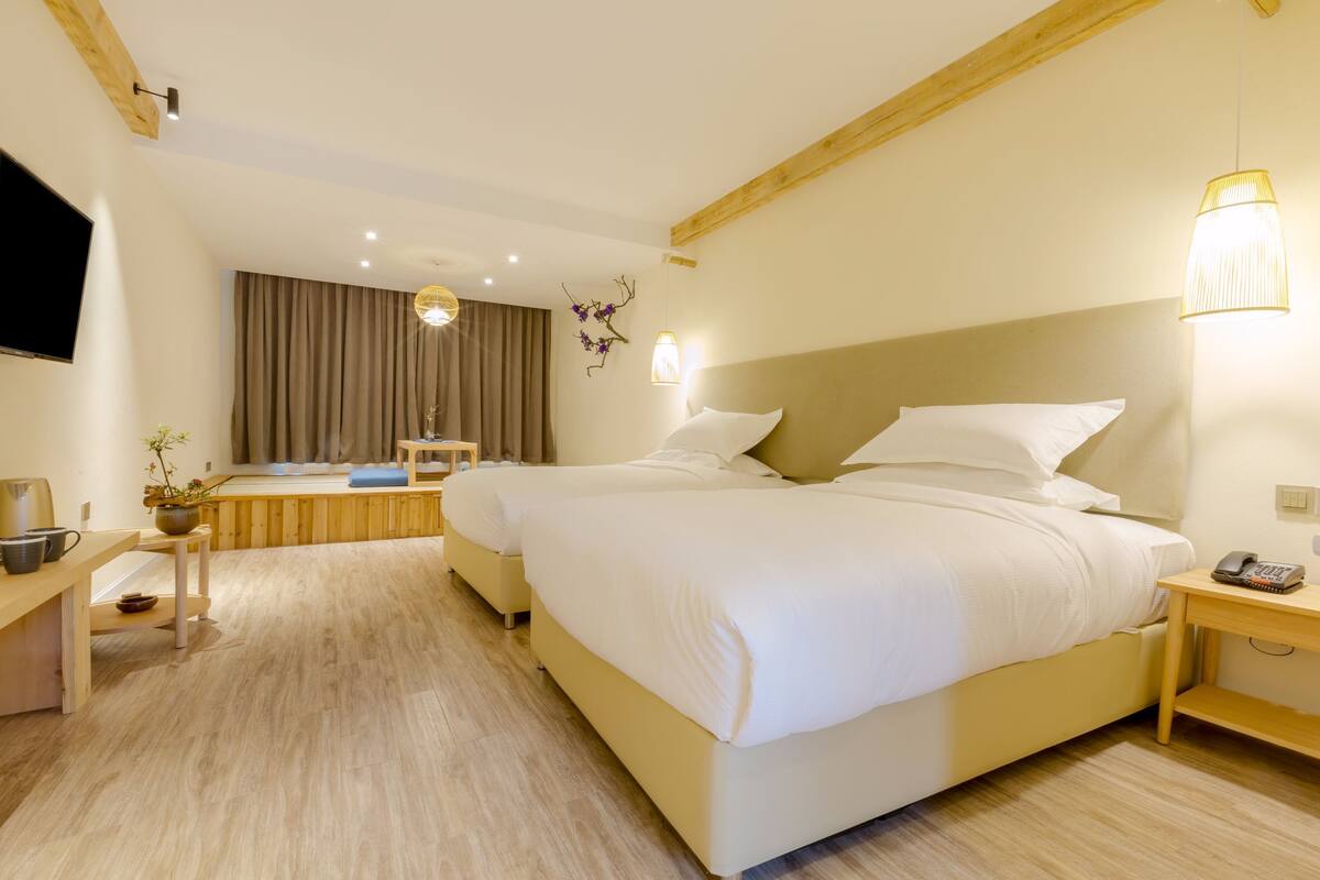 Habitación de hotel con dos camas, un escritorio, una silla, un televisor y una planta.