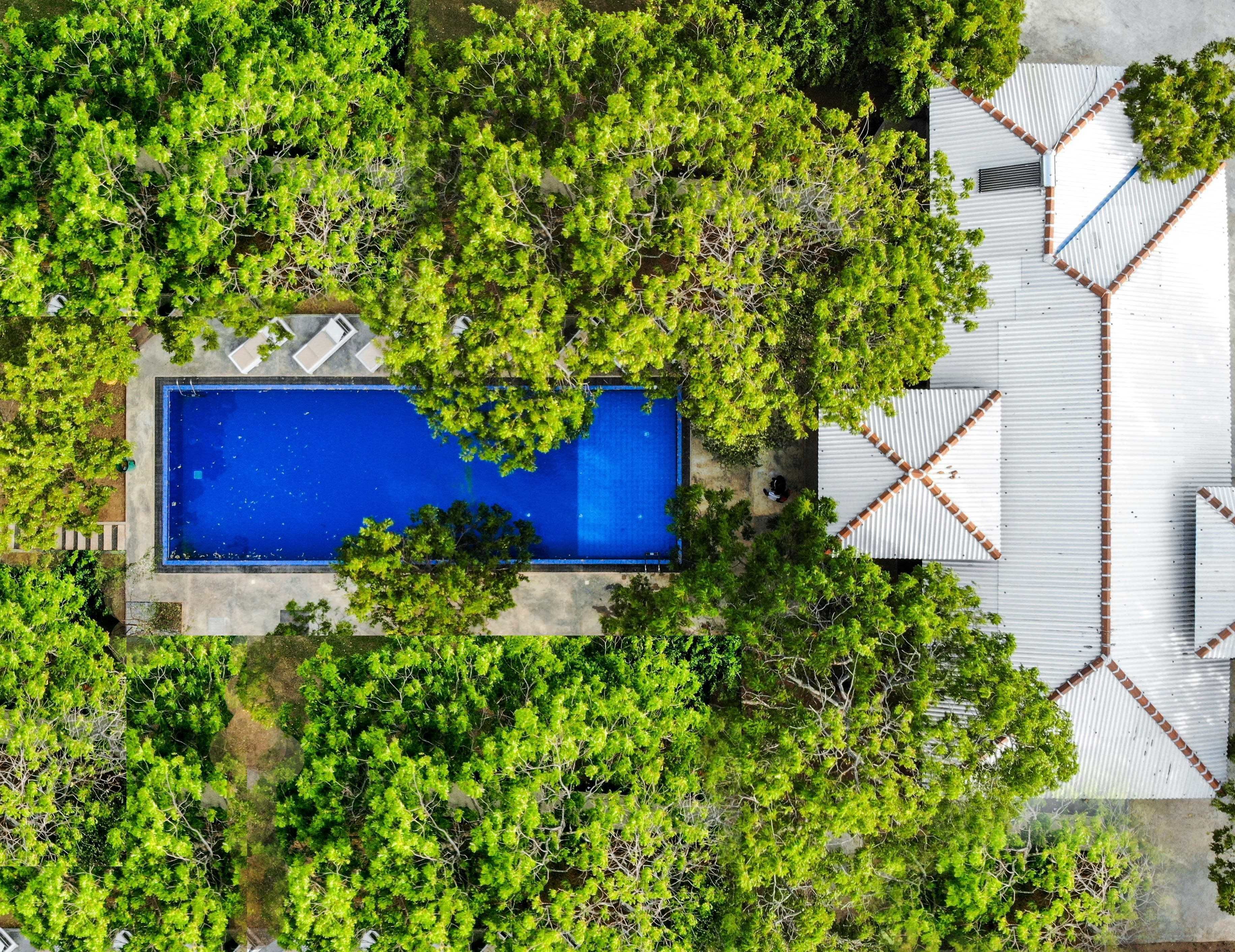 Vista aérea de una propiedad con piscina rodeada de exuberante vegetación.