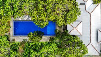 Vista aérea de una propiedad con piscina rodeada de exuberante vegetación.