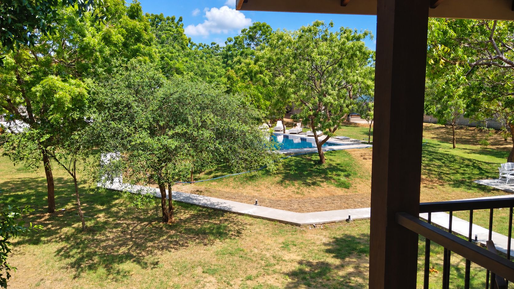 Vista de un área de piscina con árboles y cielo despejado.