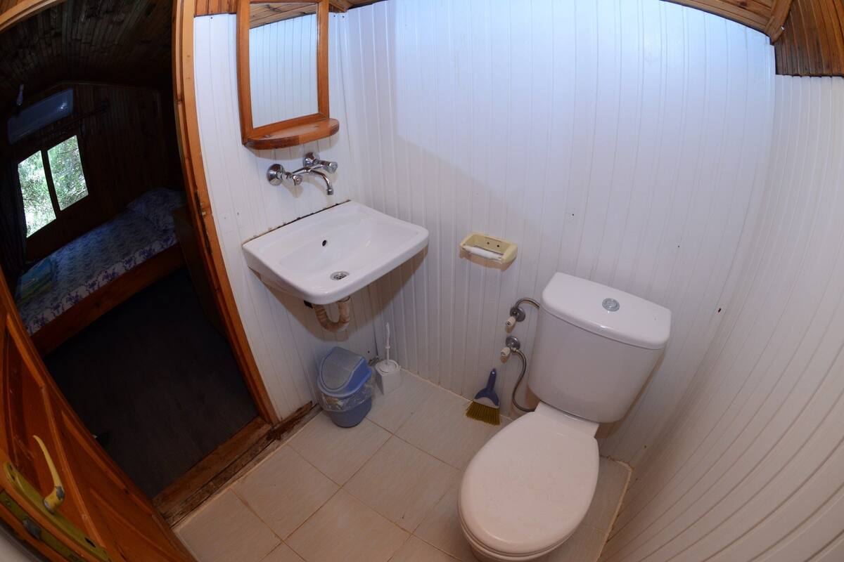 economy twin room | bathroom | shower, hair dryer, towels