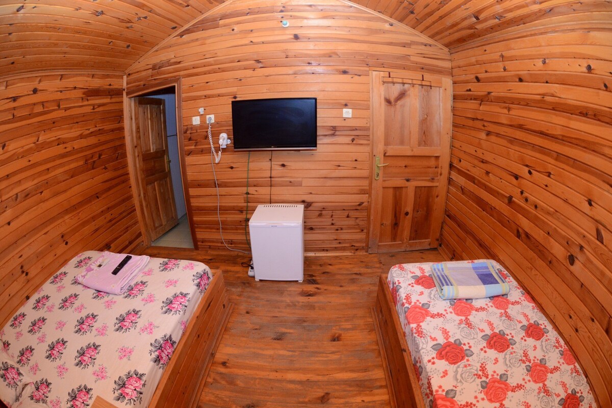 A cozy cabin room with two beds, a television, and a small refrigerator.