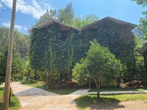 Chambre Deluxe | Bureau, accès au Wi-Fi (inclus), literie fournie