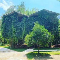 Un edificio con un sendero de piedra que conduce a una zona cubierta, rodeado de abundante vegetación y árboles.