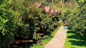 A stone pathway leading through a lush garden with dense foliage and a mountain backdrop. - Camlik Pansiyon - Adults Only (16+) (Kumluca)