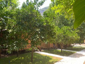 Ngoại thất