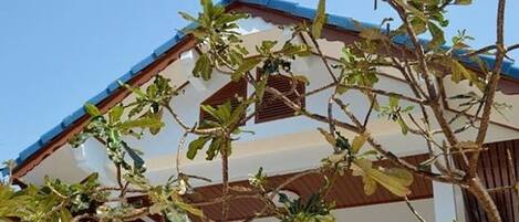 Un edificio di due piani con un balcone e un albero di fronte.