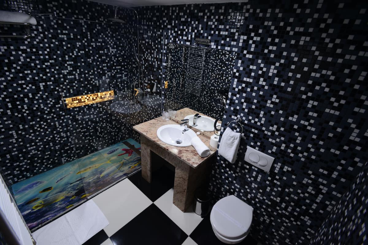 family room | bathroom | shower, free toiletries, hair dryer, bathrobes