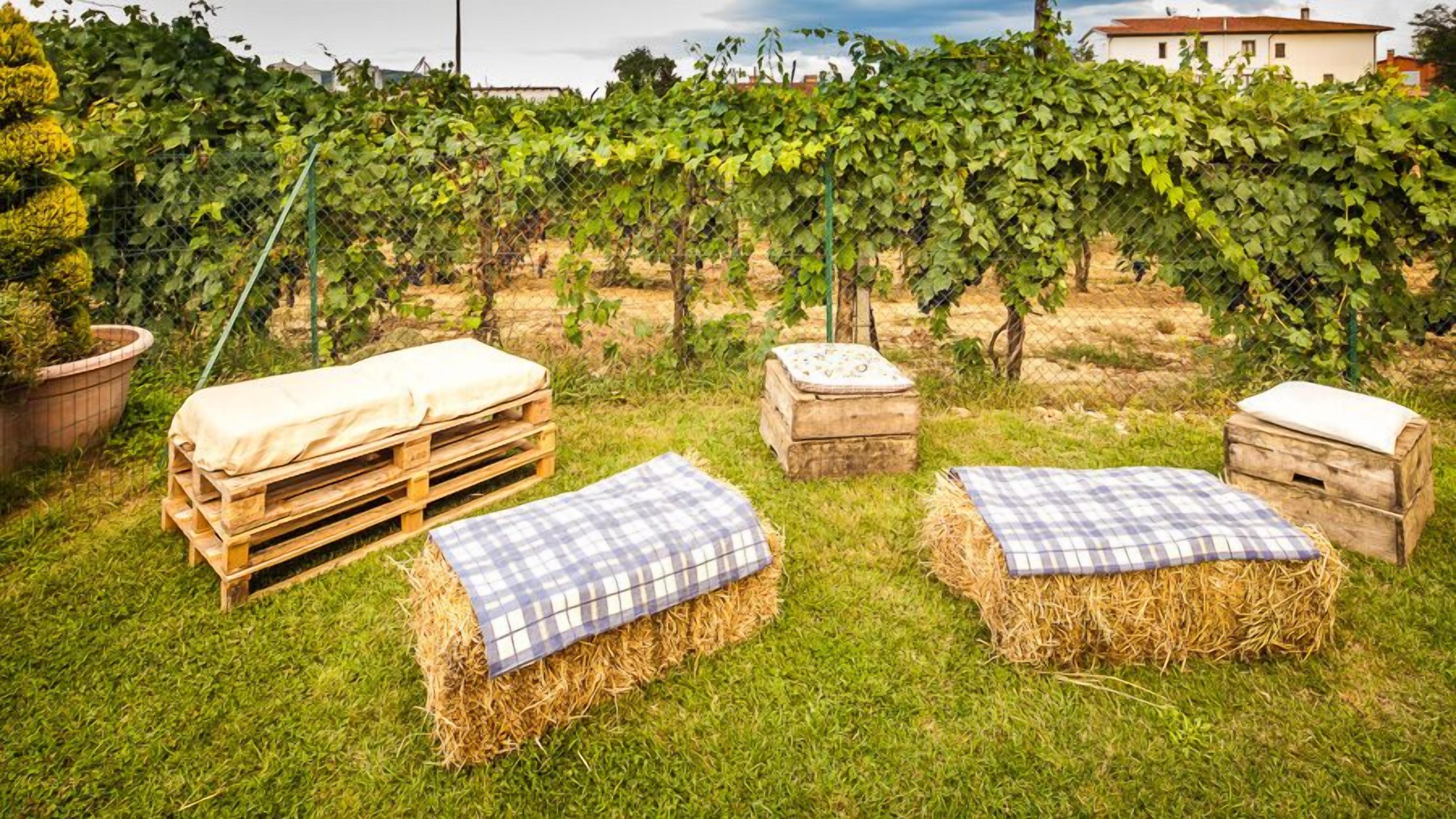 Ein Weinberg mit Heuballen und Holzbänken mit Kissen.