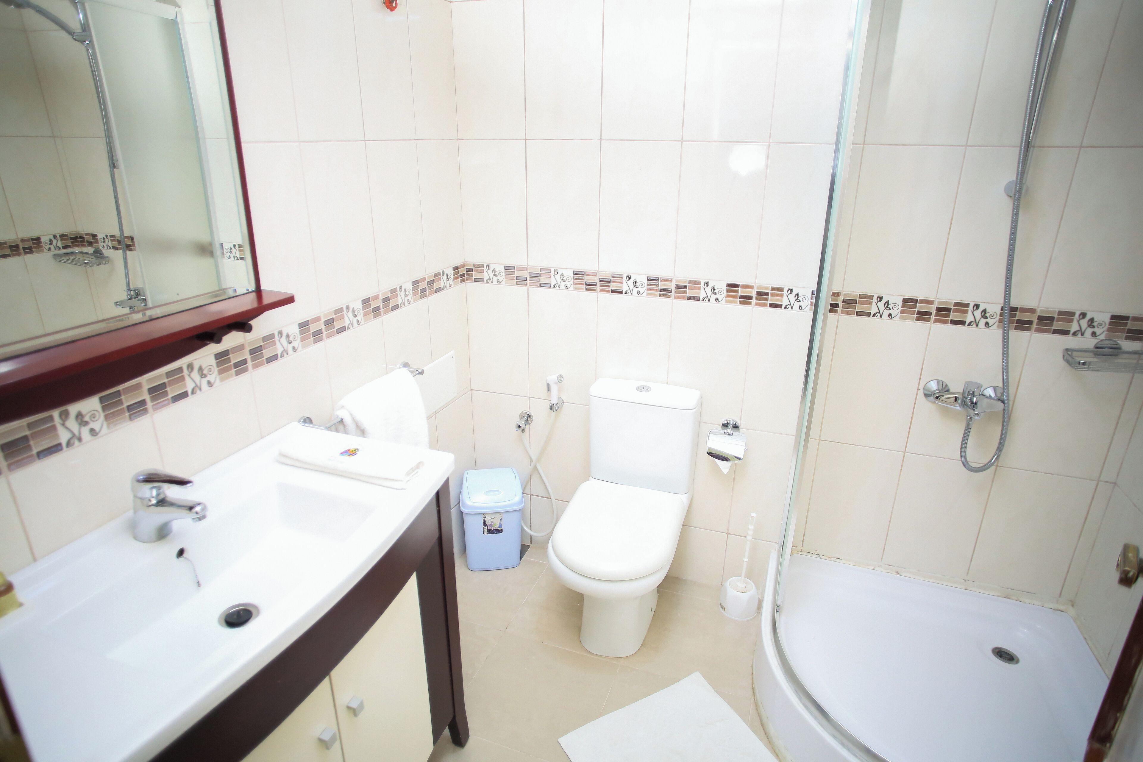 A bathroom with a sink, toilet, and shower.