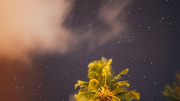 Fachada del alojamiento - Noche