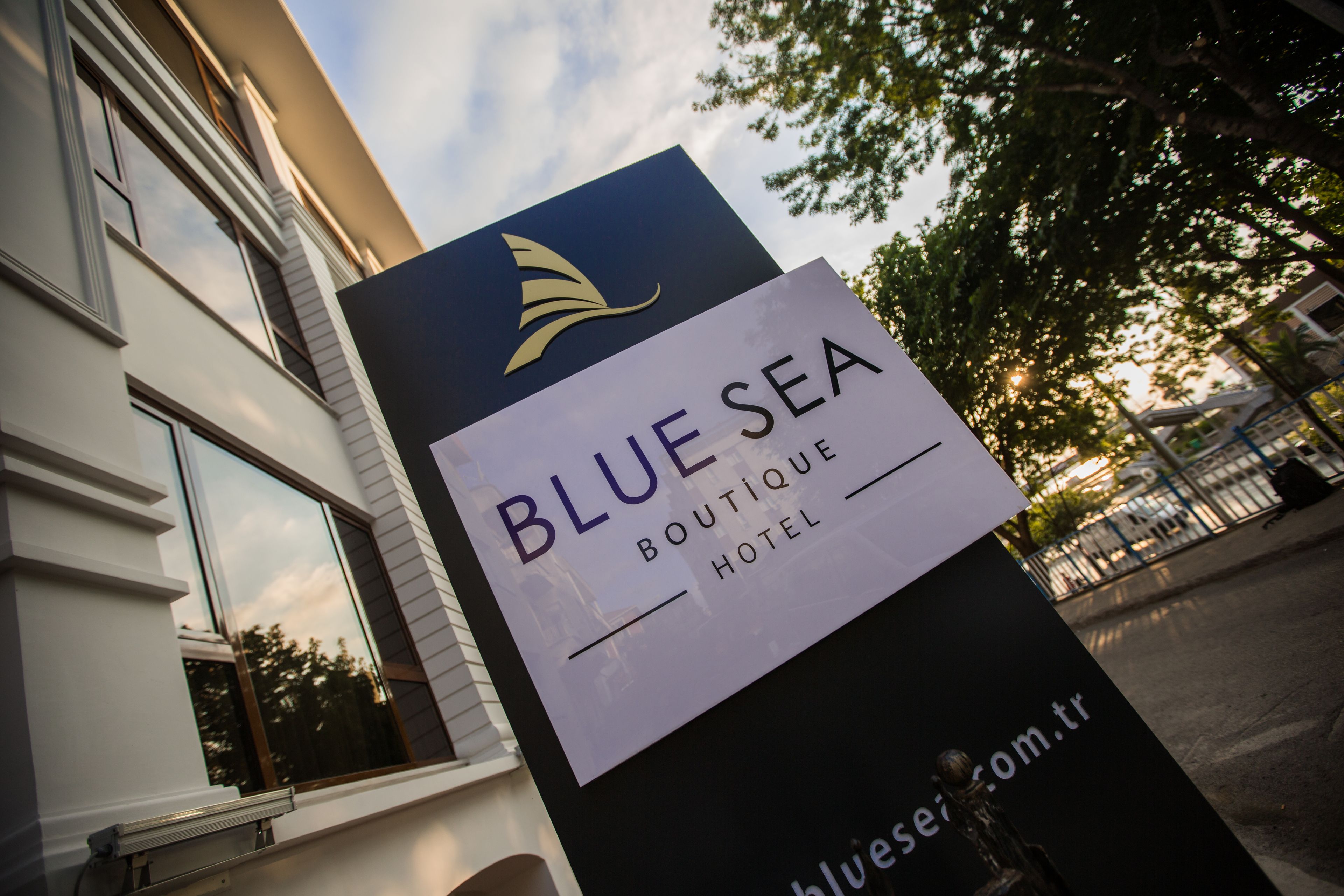 Foto - Blue Sea Hotel