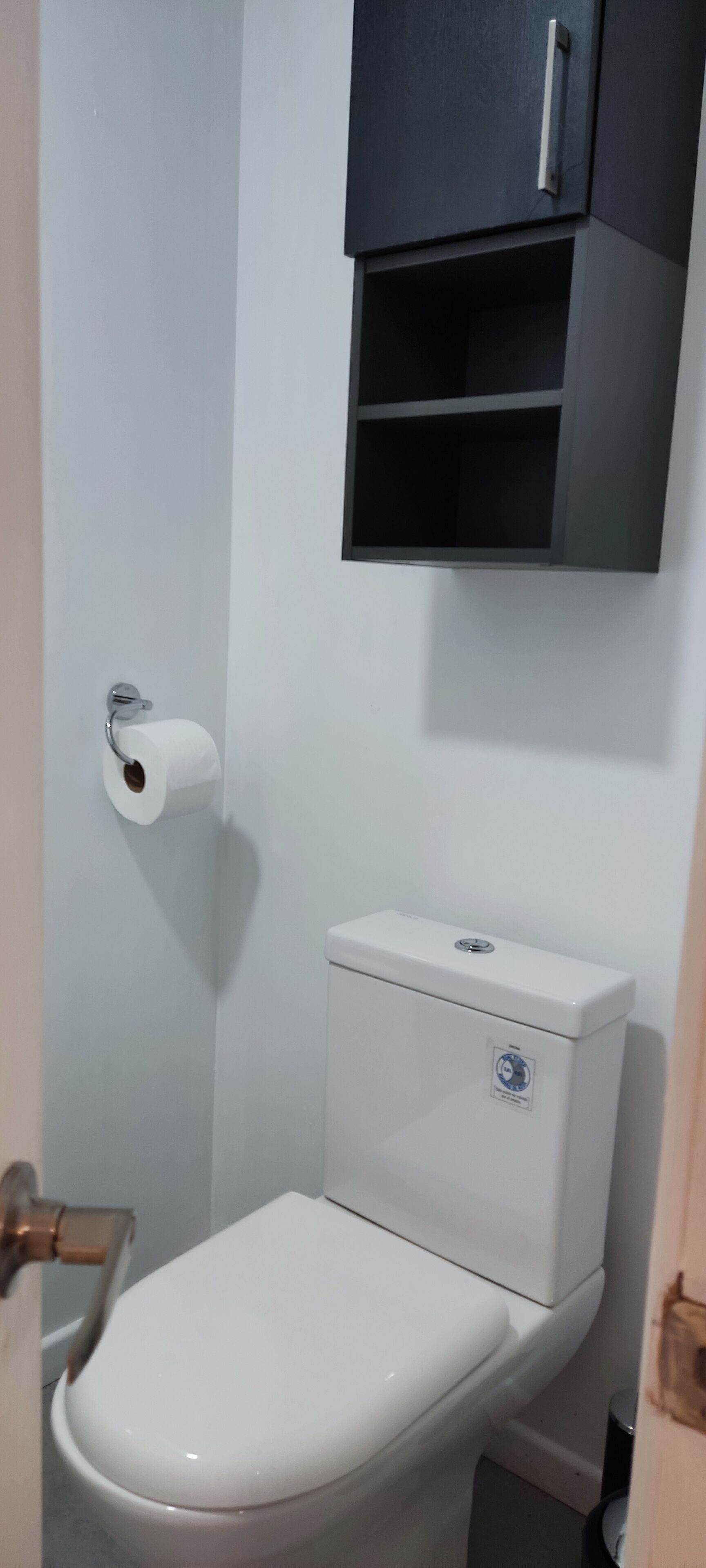 A bathroom with a white toilet, a black cabinet above it, and a toilet paper holder on the wall.