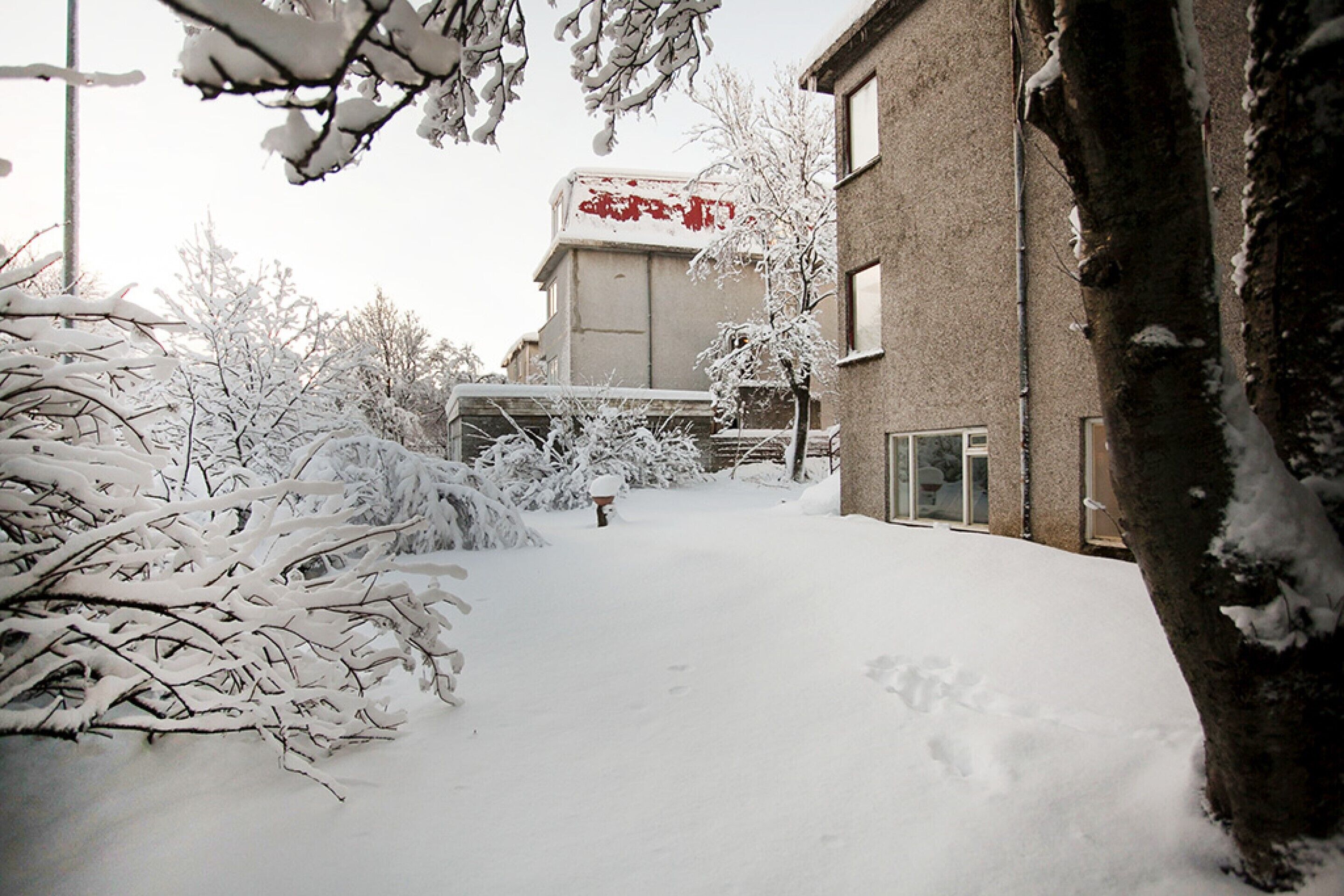 Vista frontal de la propiedad