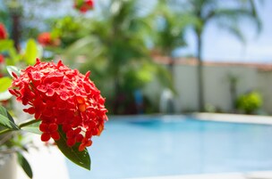 Piscina externa, funciona das 7h30 às 21h, espreguiçadeiras