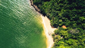 Vista aérea de una playa con densa vegetación verde a un lado y una orilla arenosa al otro.