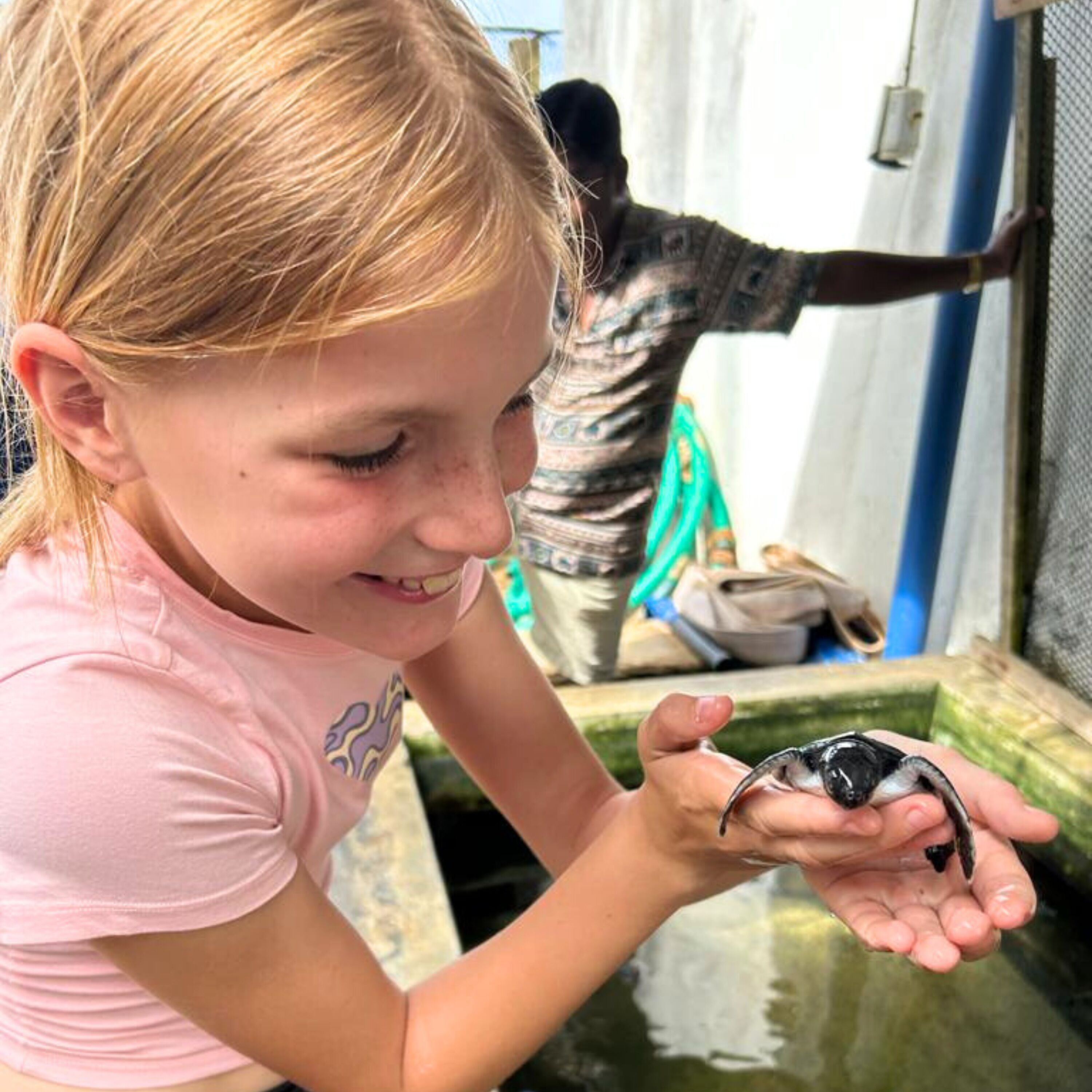 Une personne tenant une tortue près d’un récipient contenant de l’eau.