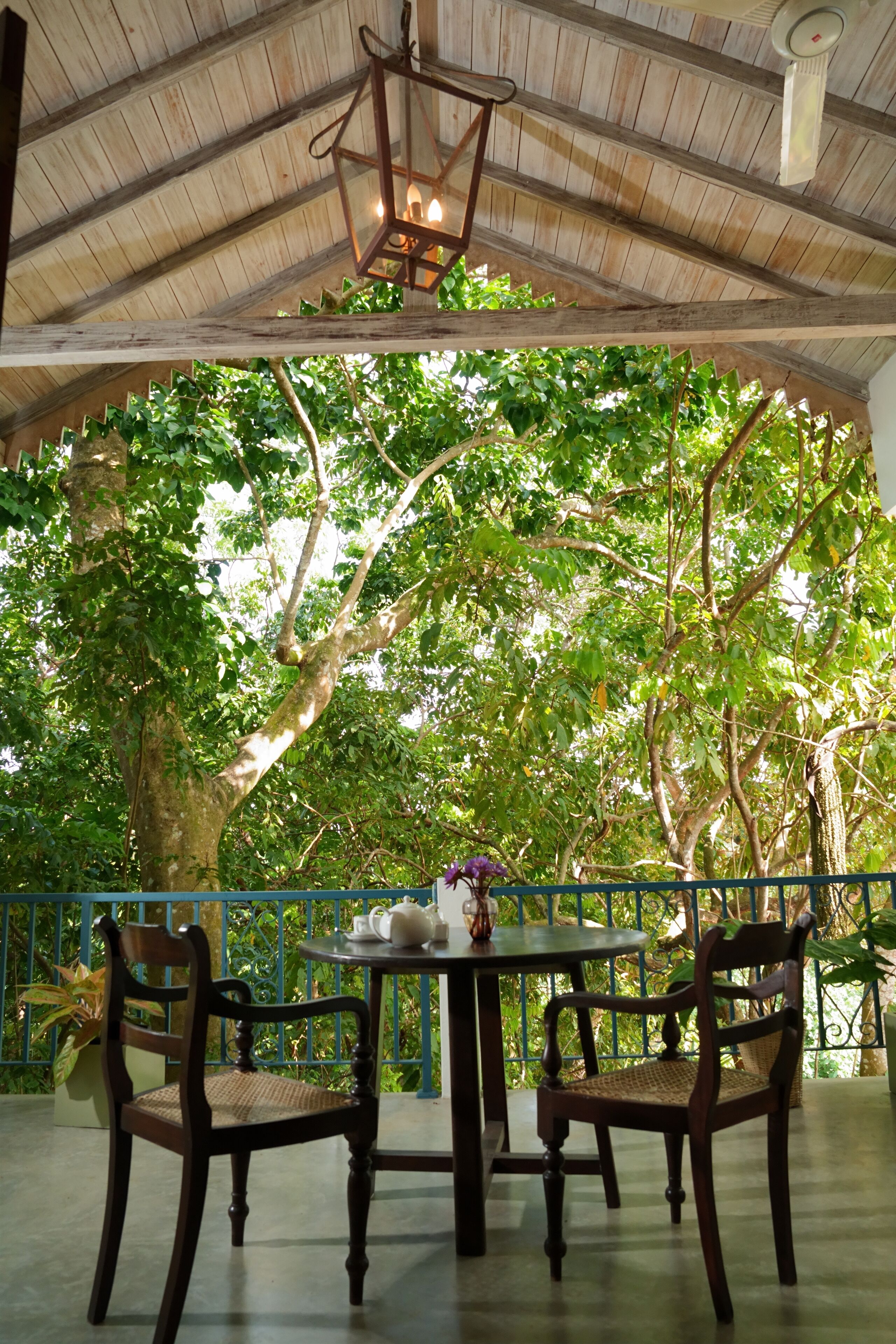 Un espacio al aire libre cubierto con una mesa y sillas, rodeado de abundante vegetación y árboles.