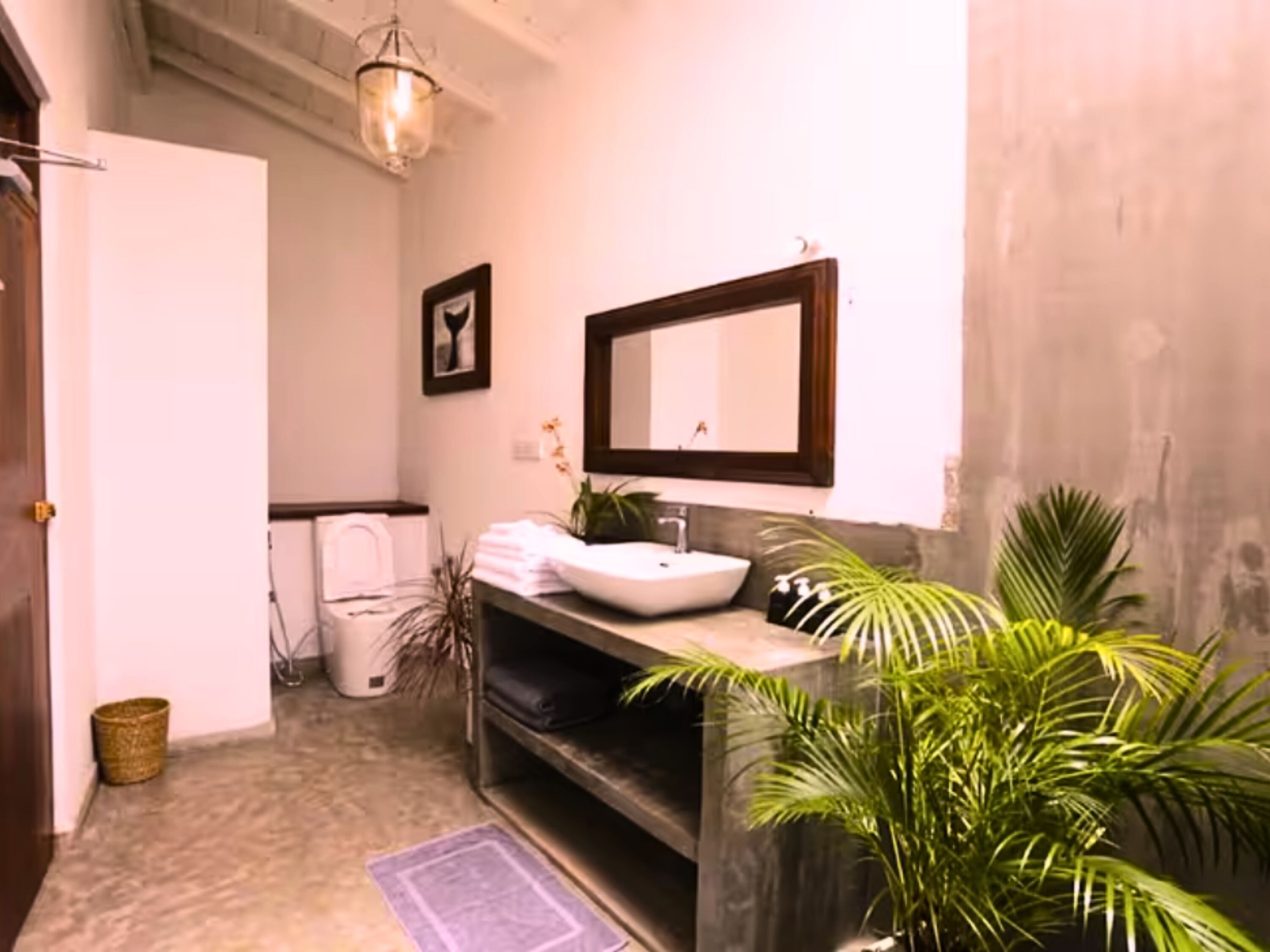 Habitación Deluxe doble | Baño | Ducha y cabezal de ducha tipo lluvia