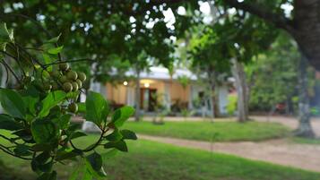 Fachada del alojamiento