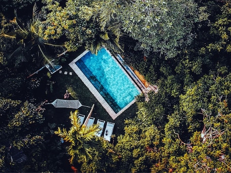 Aerial view. Ceylon Olive