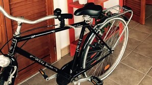 Una bicicleta estacionada frente a una puerta de madera con un estante rojo que sostiene plantas en macetas.