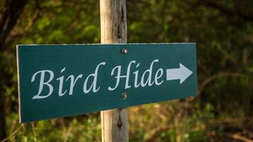 A directional sign labeled "Bird Hide" with an arrow pointing to the right.