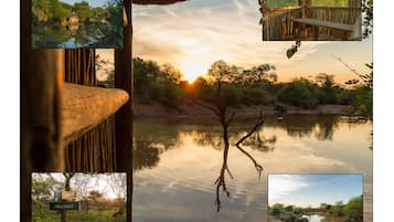 Game drive