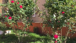 A garden with rose bushes and a building in the background.