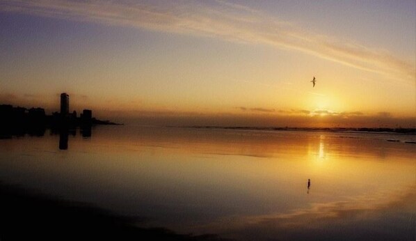 A calm body of water reflecting the sunset with a silhouette of a building and a person on the shore. - Pension Villa Tanahlot (Zandvoort)