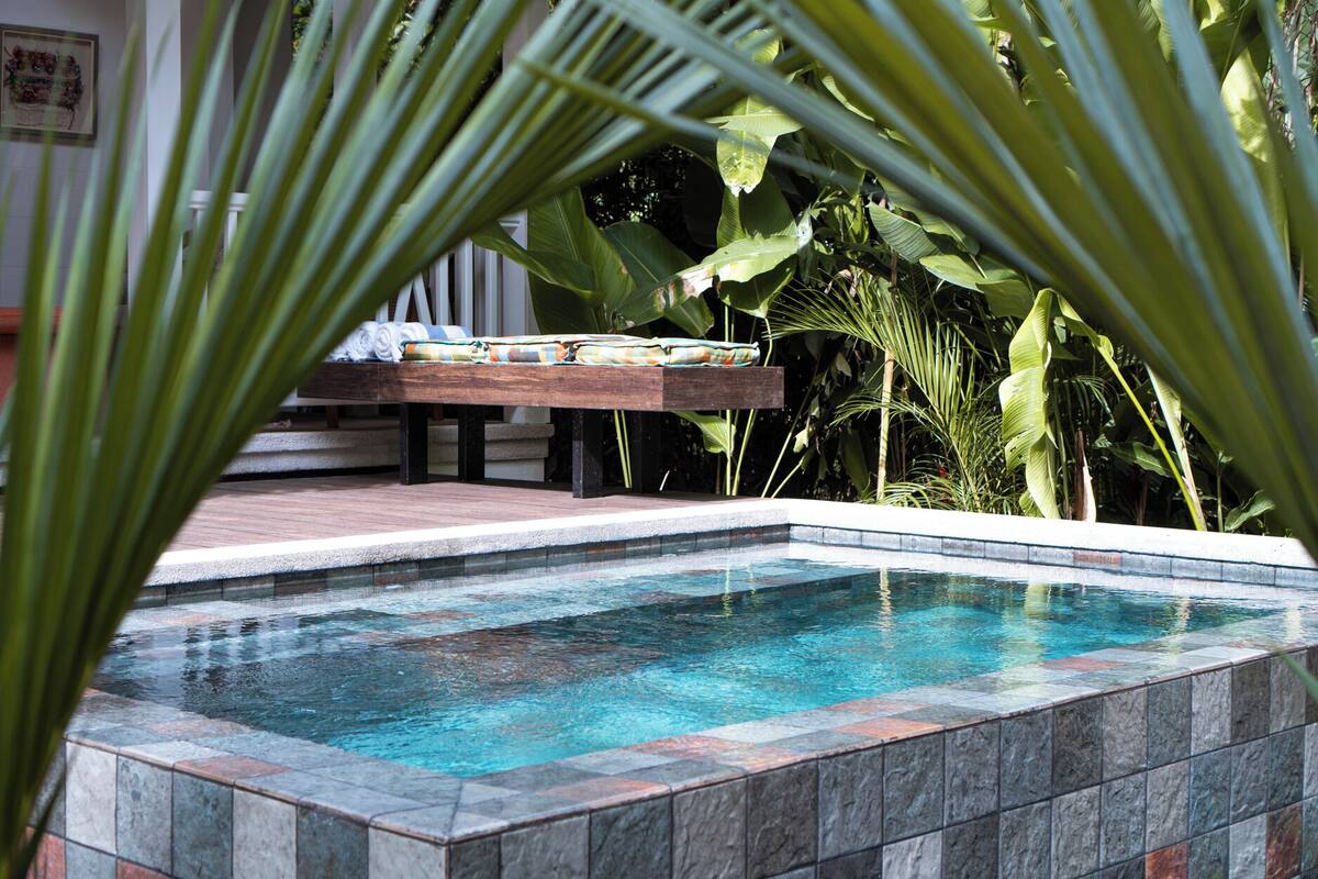 Piscina com borda azulejada, rodeada por plantas tropicais e um banco de madeira.
