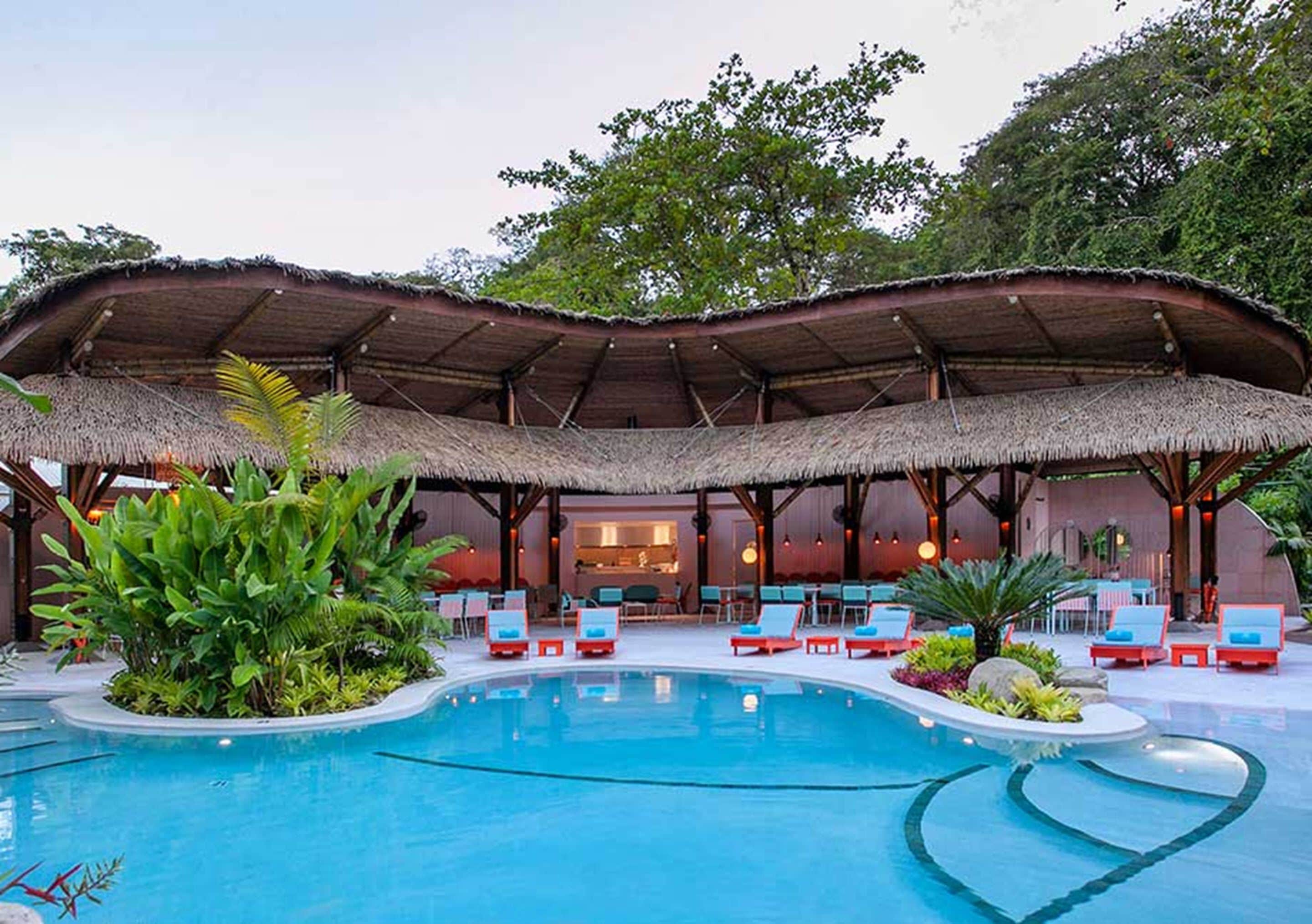 Outdoor pool, pool loungers