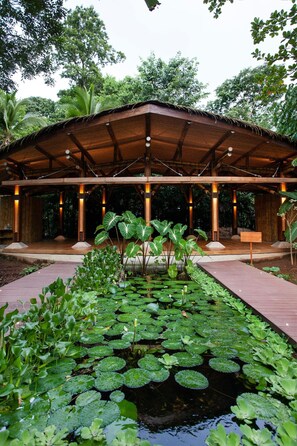 Overnattingsstedets uteområder