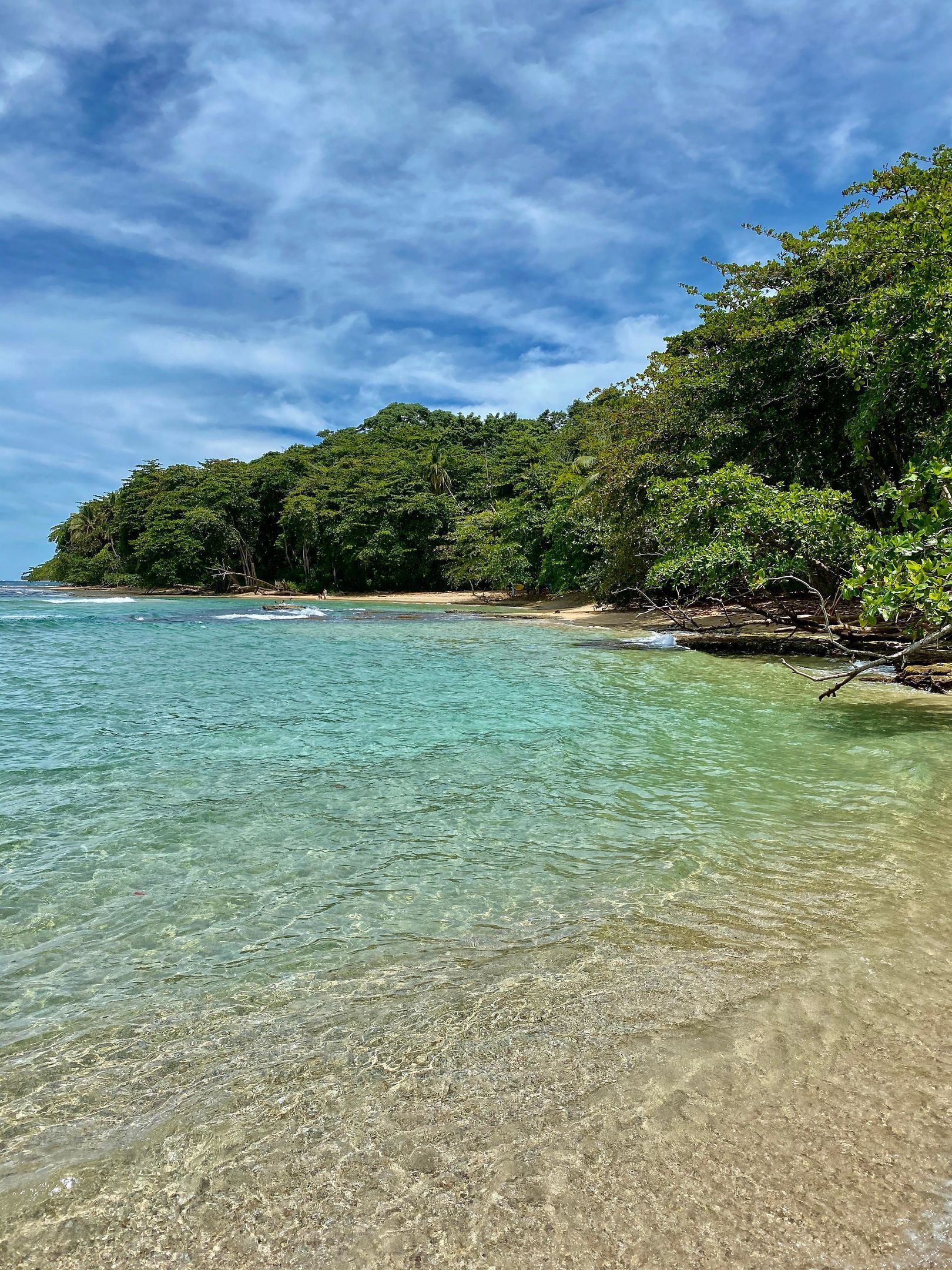 A beach with clear turquoise water, sandy shore, and dense green foliage on a hill.