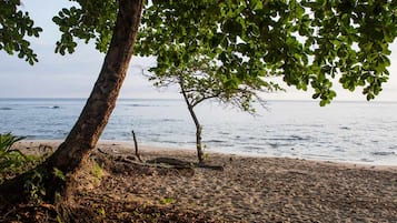 Uma praia com uma árvore e vista para o oceano.